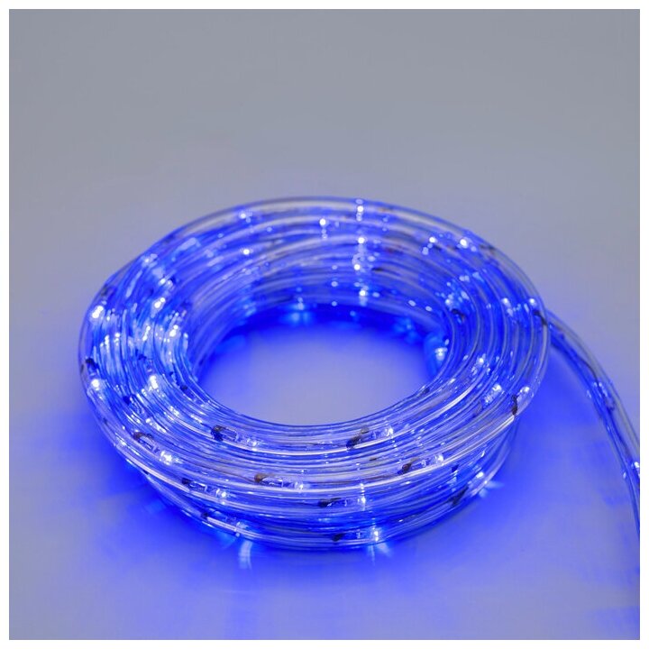 Luazon Lighting LED шнур 10 мм, круглый, 5 м, чейзинг, 2W-LED/м-24-220V, с контр. 8р, синий - фотография № 4