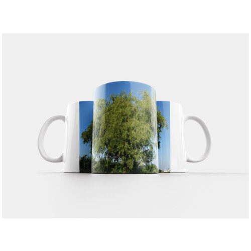 фото Кружка "акация, карнатака, индия" 320 мл lotsprints