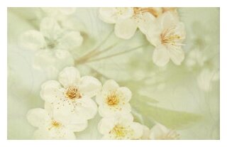 фото Шахтинская плитка Сакура зел декор 01 250х400 (1-й сорт) / Упаковка - 1 шт