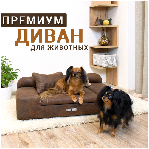 Диван для собак и кошек, лежанка Pet Sofas с деревянным каркасом, модель 