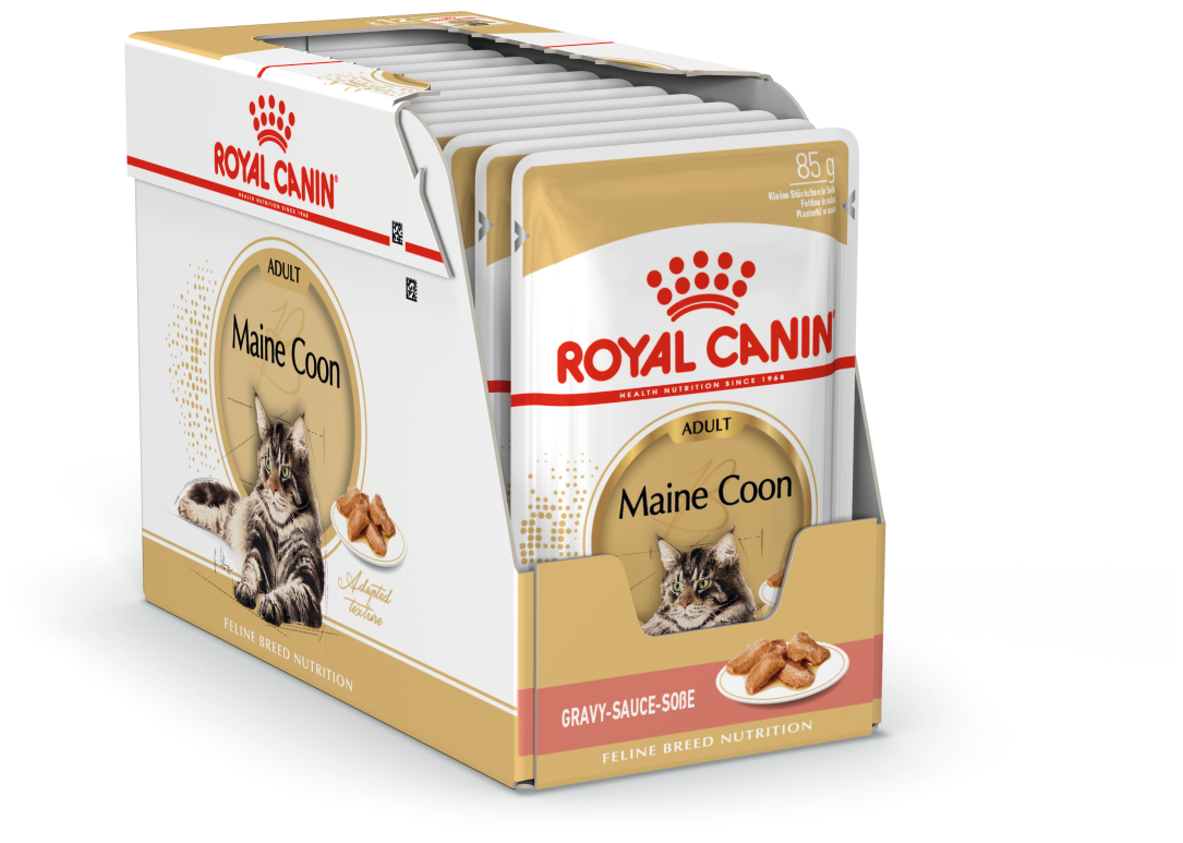 Влажный корм соус для взрослых кошек Royal Canin Maine Coon Adult для кошек породы Мейн кун в возрасте от 1 до 12 лет, 24 x 0.085кг
