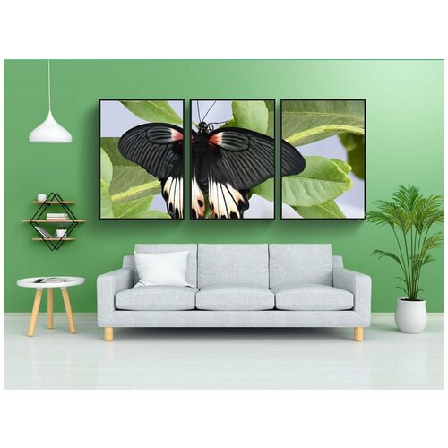 фото Набор модулных постеров для интерьера "бабочка, насекомое, крыло" 60x90 см. в тубусе, без рамки lotsprints