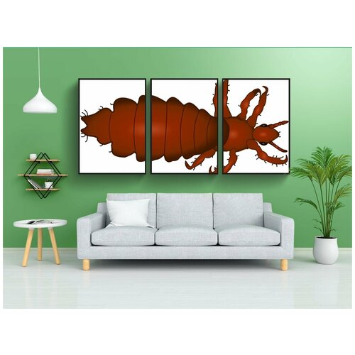 фото Набор модулных постеров для интерьера "пухоеды и вши, насекомое, животное" 60x90 см. в тубусе, без рамки lotsprints