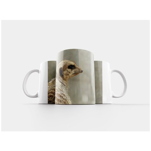 фото Кружка "сурикат, животное, шерсть" 320 мл lotsprints