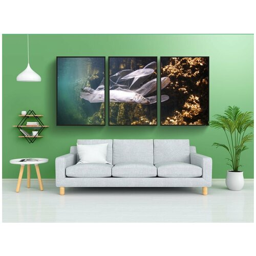 фото Набор модулных постеров для интерьера "пластиковые, рыба, переработка" 60x90 см. в тубусе, без рамки lotsprints