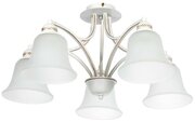 Светильник потолочный Arte Lamp Emma, A2713PL-5WG, 300W, E27