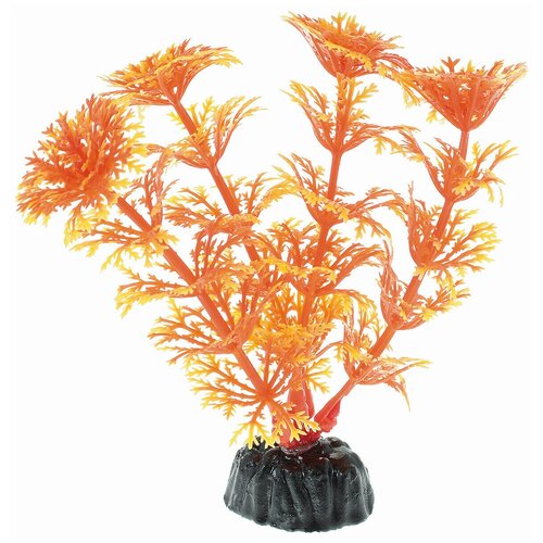 растение пластик 10см кабомба оранжевая 1 1 Растение Кабомба красно-жёлтая пластик 25см