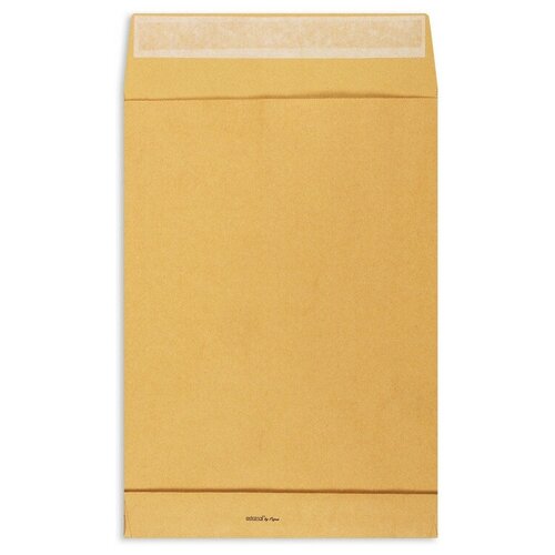 Пакет Крафт B4стрип Extrapack 250х353х40 120г 250шт/уп/6566