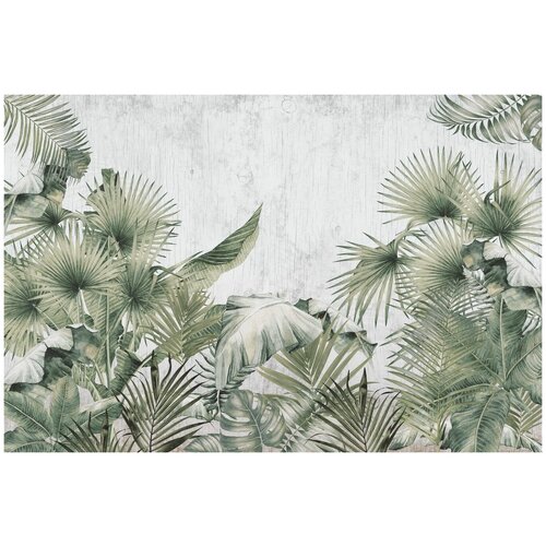 Фотообои Уютная стена Прекрасные тропические листья на деревянном фоне 410х270 см Бесшовные Премиум (единым полотном)
