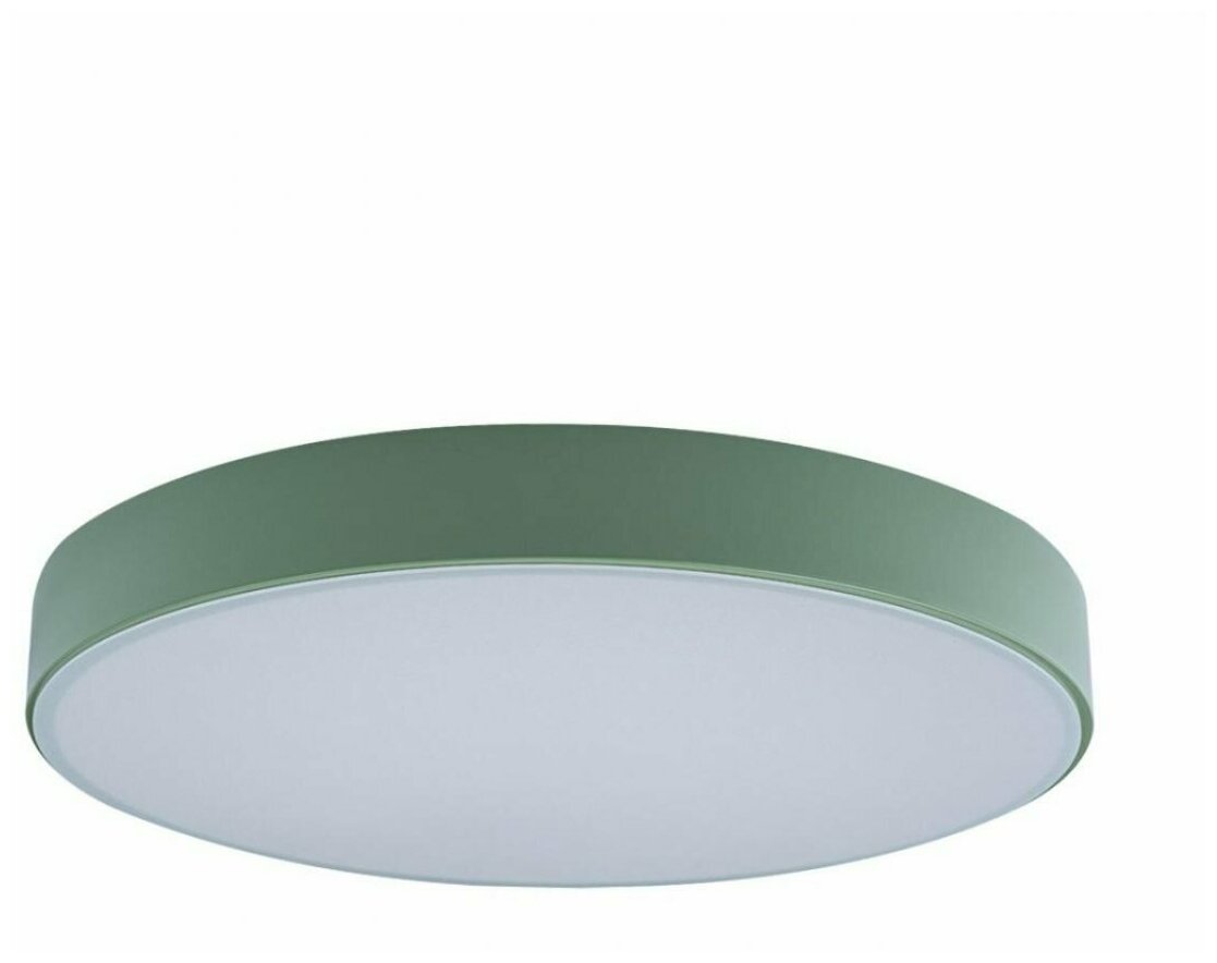 "Loft IT" Потолочный светодиодный светильник "Loft IT" Axel 10002/24 green