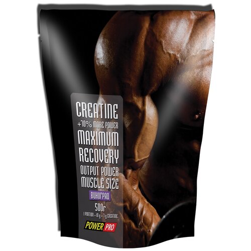 Креатин Power Pro Creatine Maximum Recovery, 500 гр. креатин xxi power super creatine 100 гр