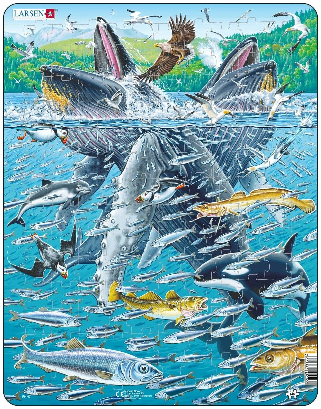 LARSEN Горбатые киты в стае сельди FH47