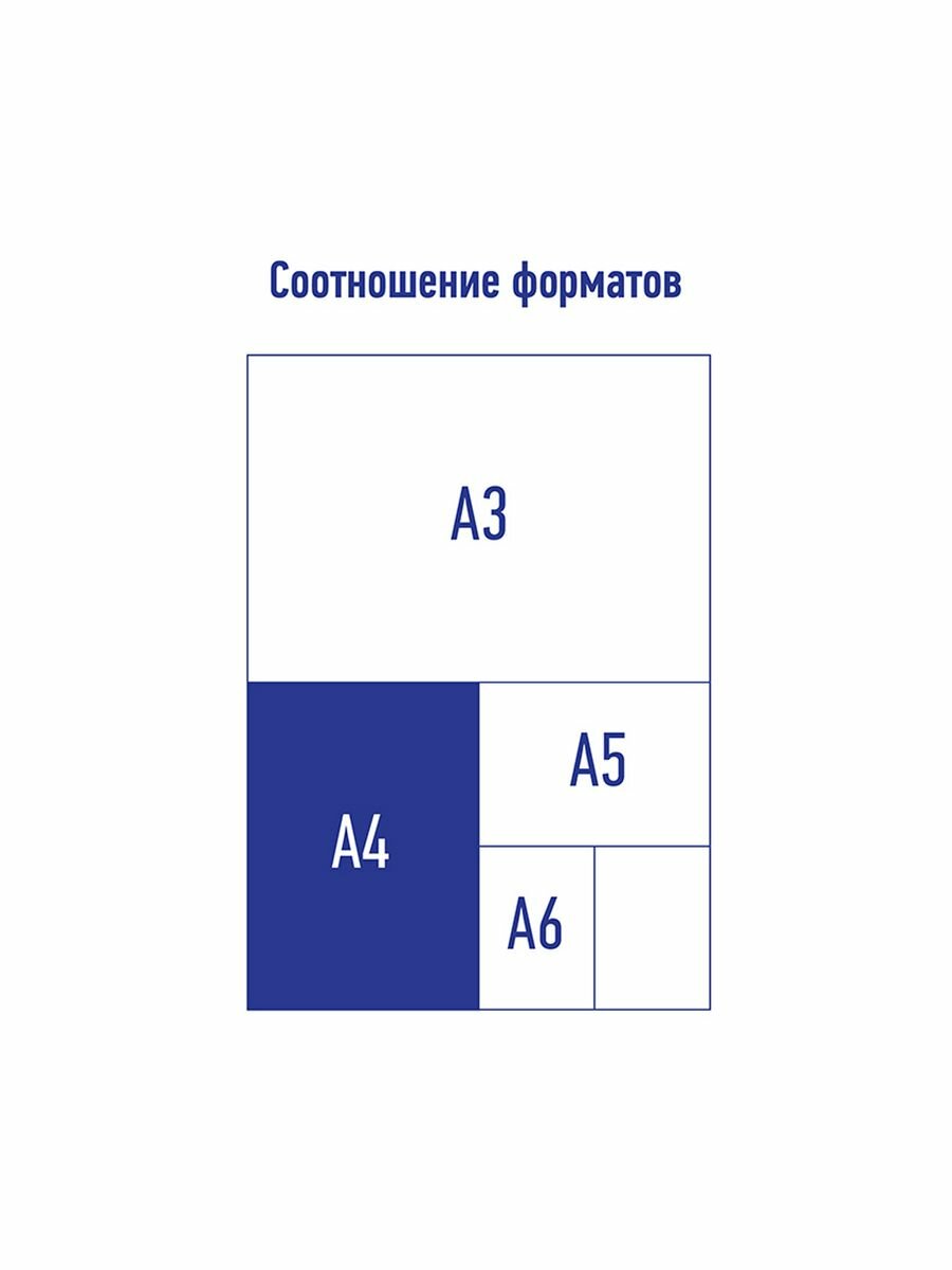 Папка с металлическим скоросшивателем "Starlight S", А4, розовая (FS4_17901) Berlingo - фото №6