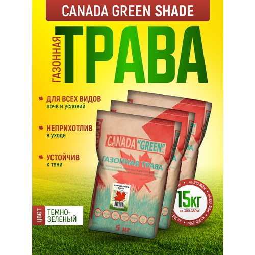 Газонная трава семена Теневыносливая 15кг / Канада Грин Теневая 15 кг / Canada Green Shade 15 кг газонная трава семена канада грин солнцеустойчивая 15кг canada green solar 15 кг