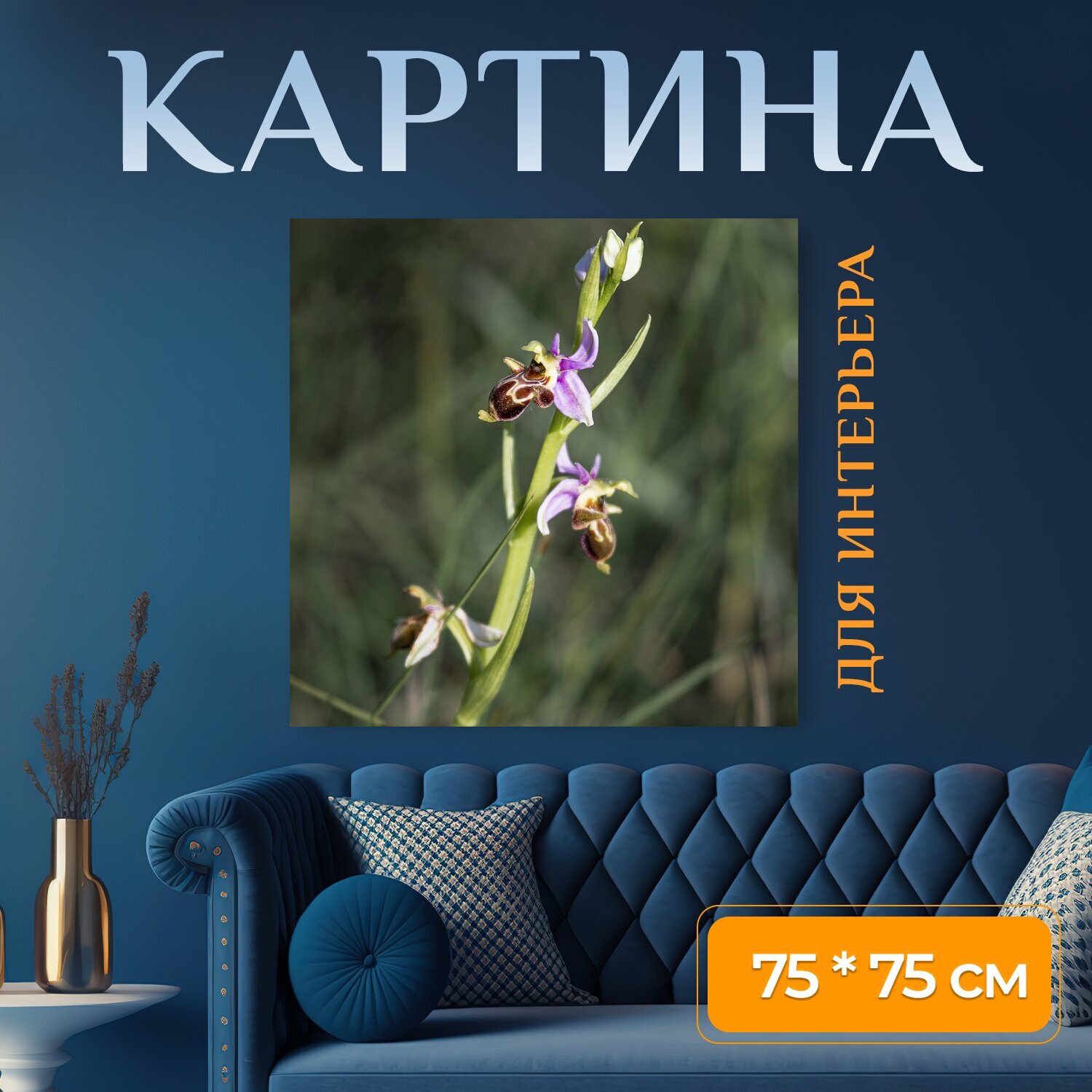 Картина на холсте "Орхидея, цветок, дикий" на подрамнике 75х75 см. для интерьера