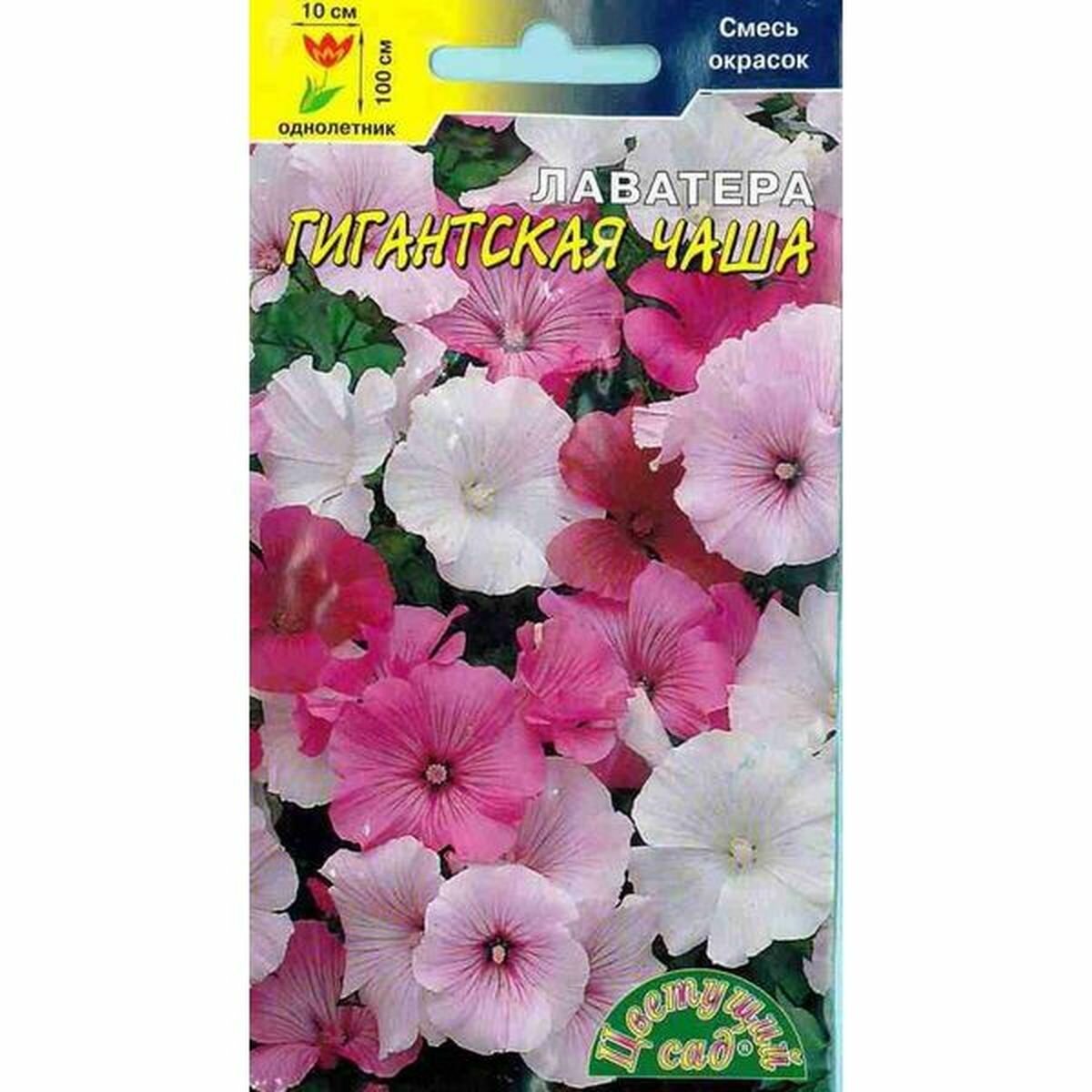 Семена Лаватера Гигантская Чаша смесь однолетник Цветущий Сад 1 пачка - 0.2г семян