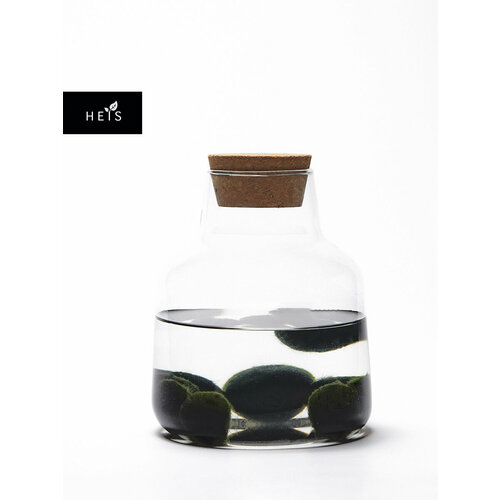 Клошариум стеклянный экосистемы HEIS Японские водоросли - шарики Маримо в вазе 7-9 шт 4490₽