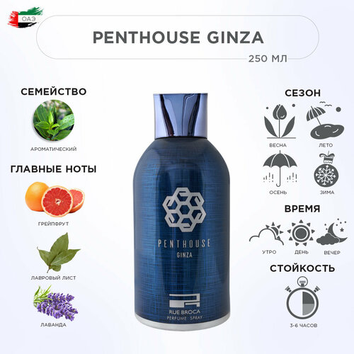 RUE BROCA Спрей для тела Theoreme Pour Homme парфюмированный, муж, 250 мл