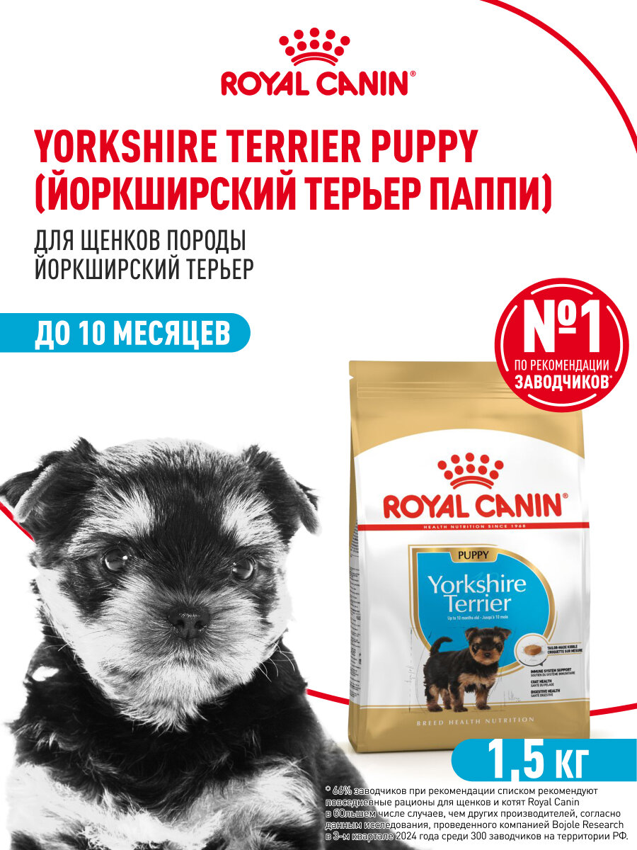 Сухой корм для щенков Royal Canin Puppy для породы йоркширский терьер, 1,5 кг — фото 1