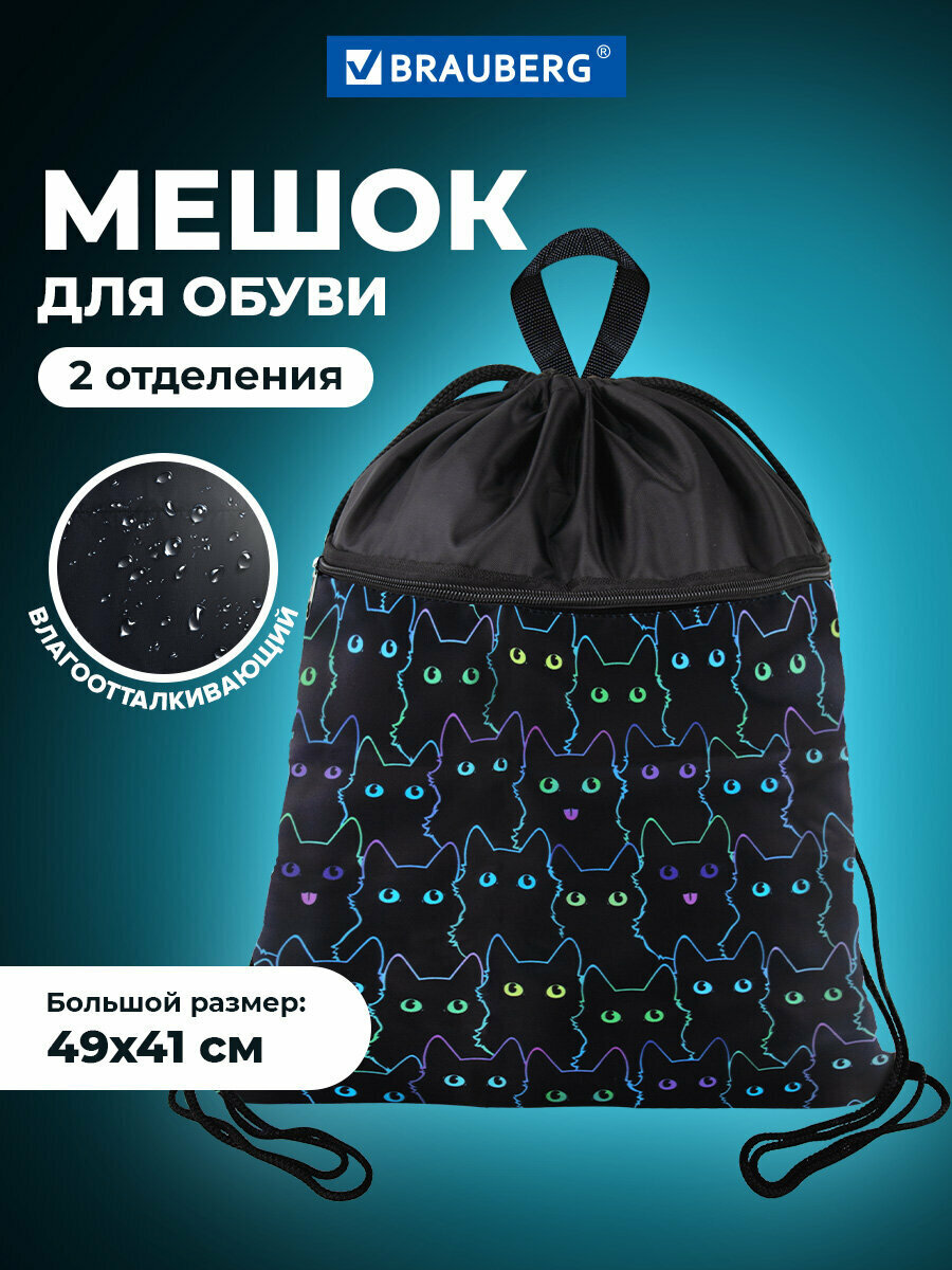 Сумка / мешок / рюкзак для сменной обуви (сменки) Brauberg карман на молнии с ручкой сеточка для вентиляции 49х41 см Cats 271059
