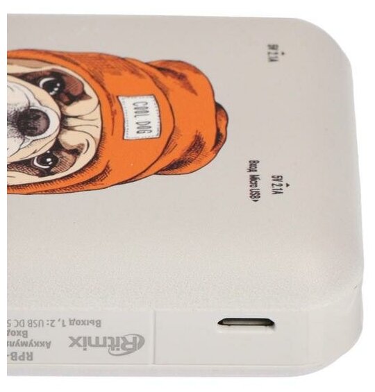 882144 Внешний аккумулятор Ritmix Power Bank RPB-10007 10000mAh Bulldog