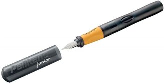 Ручка перьевая Pelikan School Pelikano Junior (PL809108), антрацитовый, A, перо сталь нержавеющая, для правшей