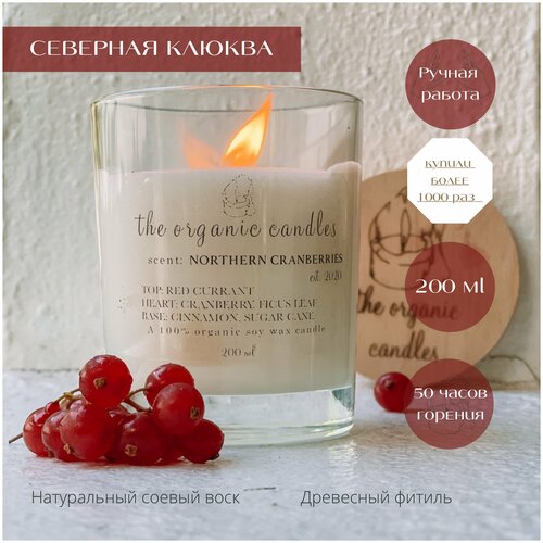 Свеча соевая со спиральным деревянным фитилем The Organic Candles Северная клюква 200 ml