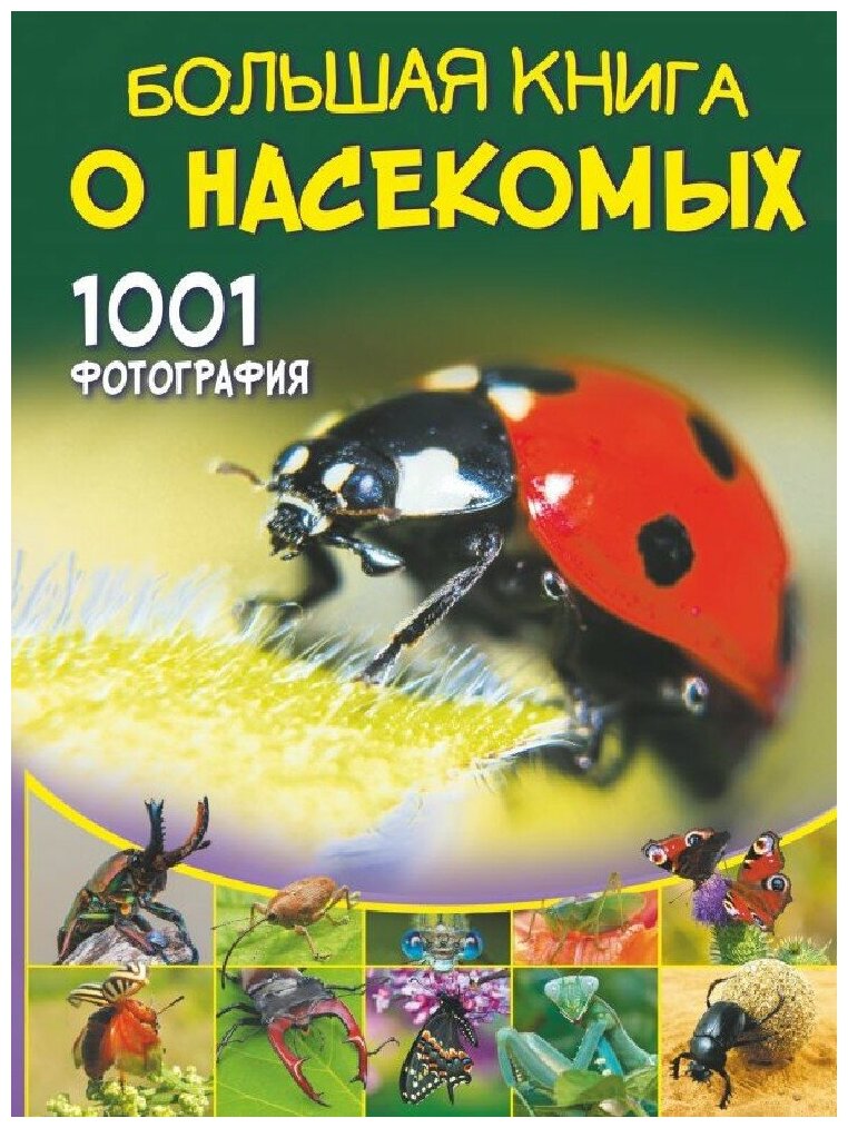 Большая книга о насекомых 1001 фотография Энциклопедия Спектор АА 12+