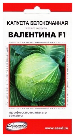 Капуста белокочанная Валентина F1 , 12 семян