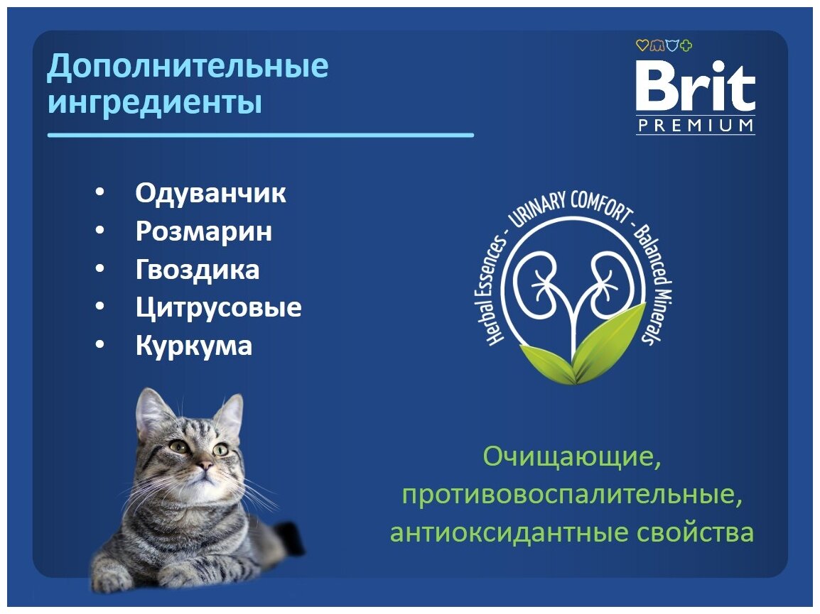 Сухой корм премиум класса Brit Premium Cat Sensitive с ягненком и индейкой для взрослых кошек с чувствительным пищеварением 0,8 кг - фотография № 9