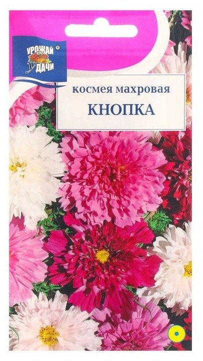 Семена цветов Космея махровая "Кнопка", 0,05 г