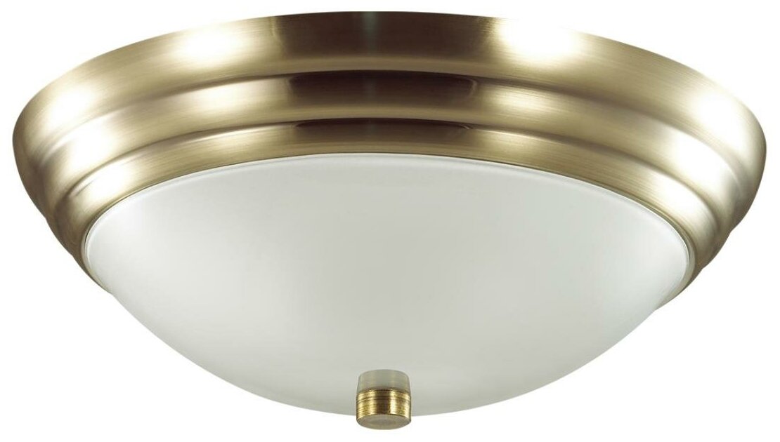 Настенно-потолочный светильник Lumion Vintage 5262/2C