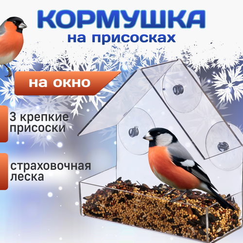 Прозрачная кормушка для птиц Kaybee на присосках