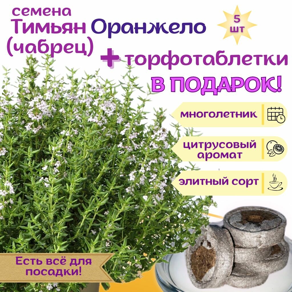 Семена Тимьян Чабрец аромат цитрус + торфяные таблетки Jiffy в подарок 5 шт