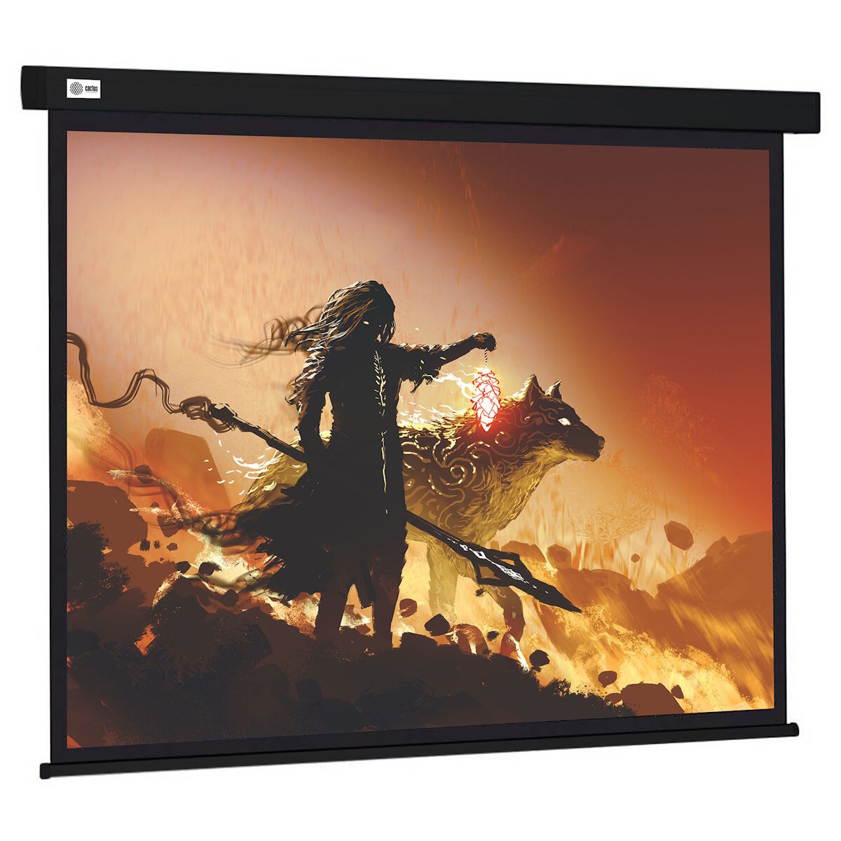 Экран для проектора Сactus Wallscreen CS-PSW-149X265-BK 119.69", 265,7х149,4