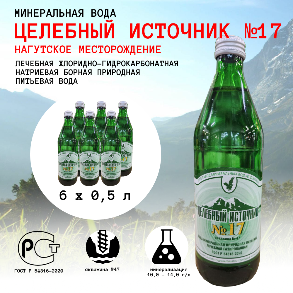 Минеральная вода Целебный источник 17Нагутская 17 лечебностоловая  ЗМВ Ессентуки 05 л