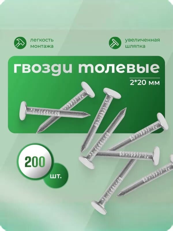 Гвоздь толевый "ВиС" 2х20 - 200 шт (оцинкованный) — фото 1