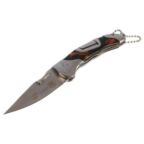 Складной нож Stinger с клипом, 165 мм, рукоять: нержавеющая сталь, дерево, подарочный бокс 3418752