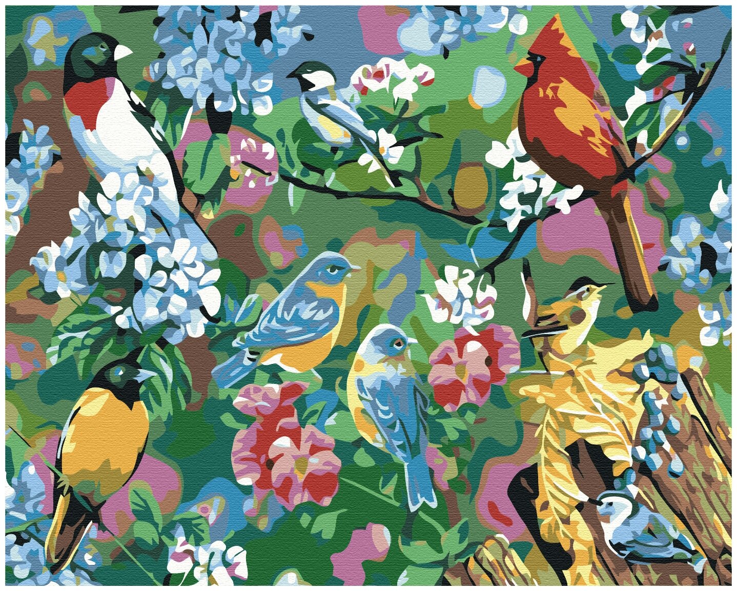 Картина по номерам на холсте с подрамником 40х50 см. Природа, животные, рыбы, птицы. "Птицы на ветках", арт. 2228/