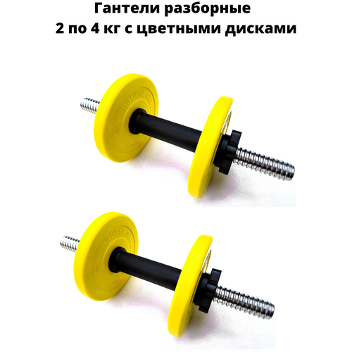 Гантели разборные Brutal Sport 2 по 4 кг с цветными дисками