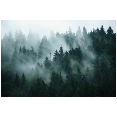 Фотообои Уютная стена Туманный лес 400х270 см Бесшовные Премиум (единым полотном)