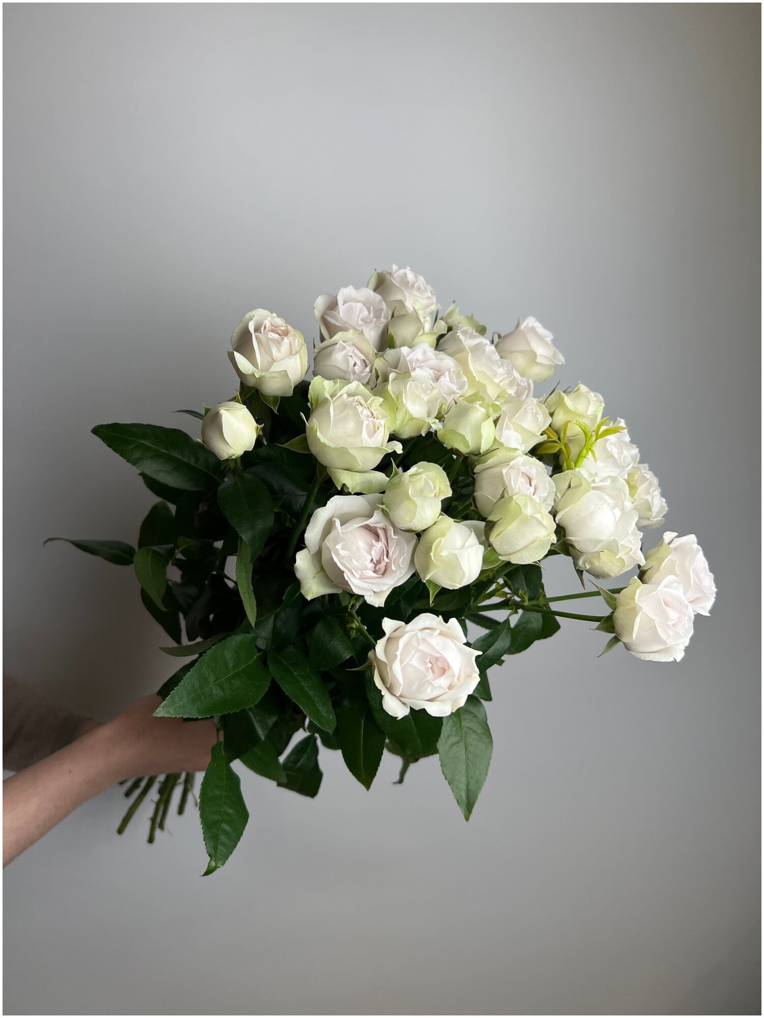 Букет из 7 кустовых белых роз 40см