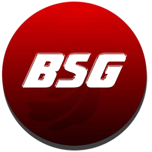 BASBUG BSG 65-200-012 Колодки дисковые задние 583021PA30