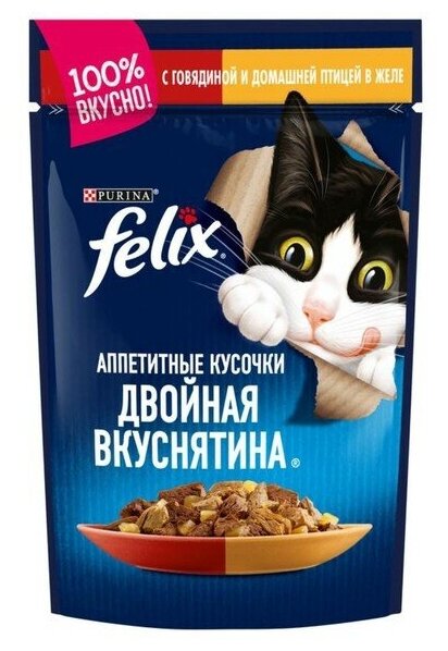 Влажный корм для кошек Felix аппетитные кусочки, двойная вкуснятина, с говядиной и домашней птицей 85 г (кусочки в желе) - фотография № 9