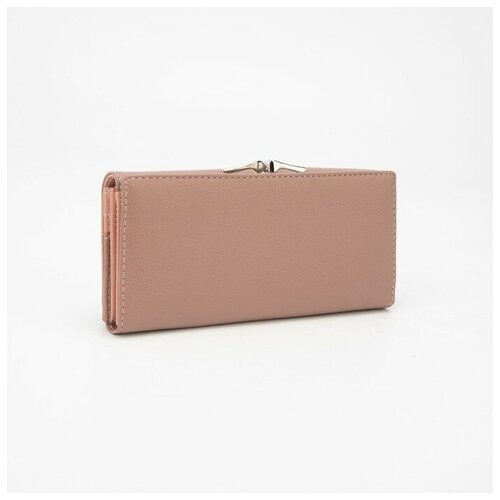 фото Кошелёк на магнитах, цвет пудра нет бренда