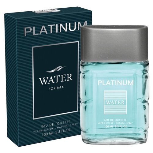 Купить Туалетная вода мужская Platinum Water (Платинум Вотер), 100ml, Today Parfum