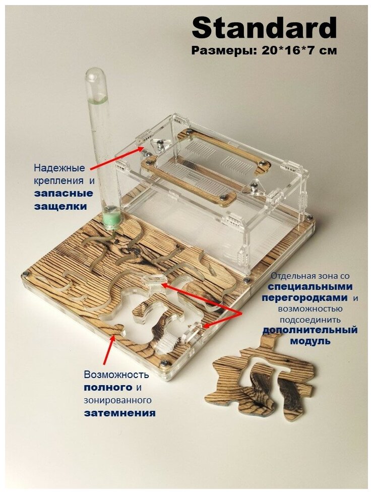 Муравьиная ферма "Сосна" с запирающейся крышкой Формикарий Стандарт 20*16*7см basic - фотография № 3
