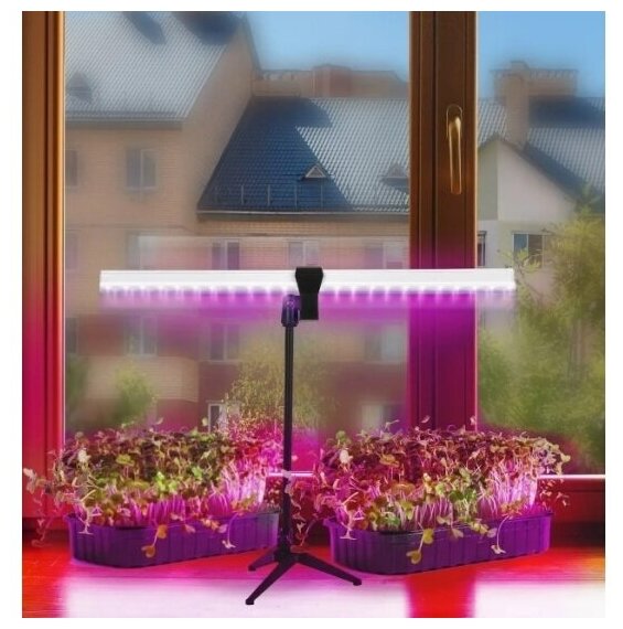 Светильник Ritter для роста растений Т5 10Вт провод с вилкой 2м на штативе 572мм 56302 0 - фотография № 2