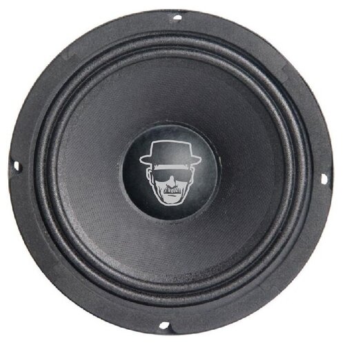 Акустика Kingz Audio C10H15N-8 20см среднечастотная 599000₽