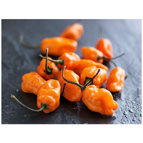 Перец чили острый Хабанеро Оранжевый (лат. Habanero Pepper Orange) семена 5шт + подарочек